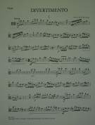 Notenbeispiel / Music example Viola