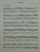 Notenbeispiel / Score example