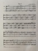 Notenbeispiel / Score example