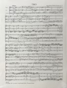 Notenbeispiel / Score example