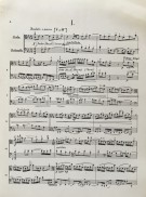 Notenbeispiel / Score example