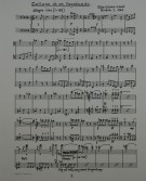 Notenbeispiel / Score example