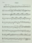 Notenbeispiel / Music example Viola