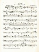 Notenbeispiel / Music example Viola