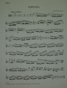 Notenbeispiel / Music example Viola