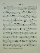 Notenbeispiel / Music example Viola