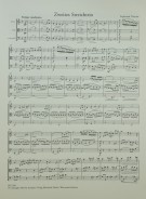 Notenbeispiel / Score example